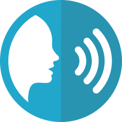 voice controlled assistant